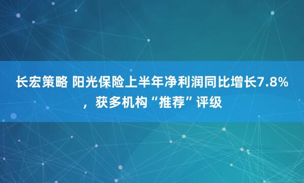 长宏策略 阳光保险上半年净利润同比增长7.8%，获多机构“推荐”评级
